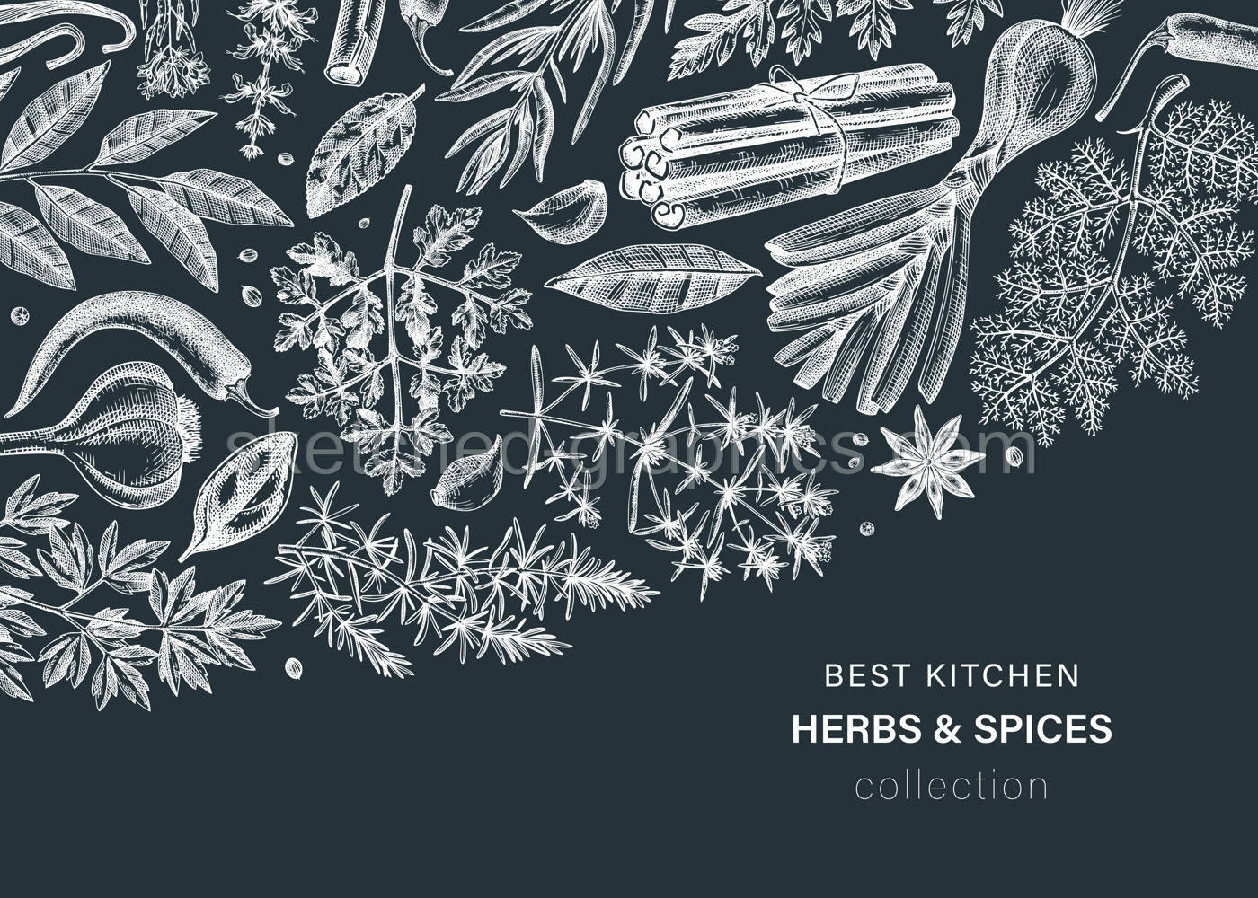 Hand-drawn herbs and spices vector banner. Hand-sketched food illustration. Vintage aromatic plants hand-drawing. Kitchen herbs and spice frame template in sketched style. Menu design on chalkboard Illustration